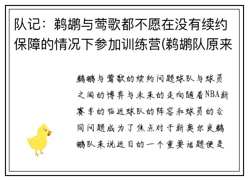 队记：鹈鹕与莺歌都不愿在没有续约保障的情况下参加训练营(鹈鹕队原来叫什么)