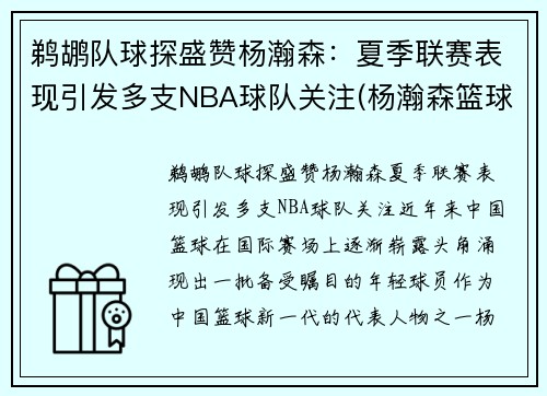 鹈鹕队球探盛赞杨瀚森：夏季联赛表现引发多支NBA球队关注(杨瀚森篮球)